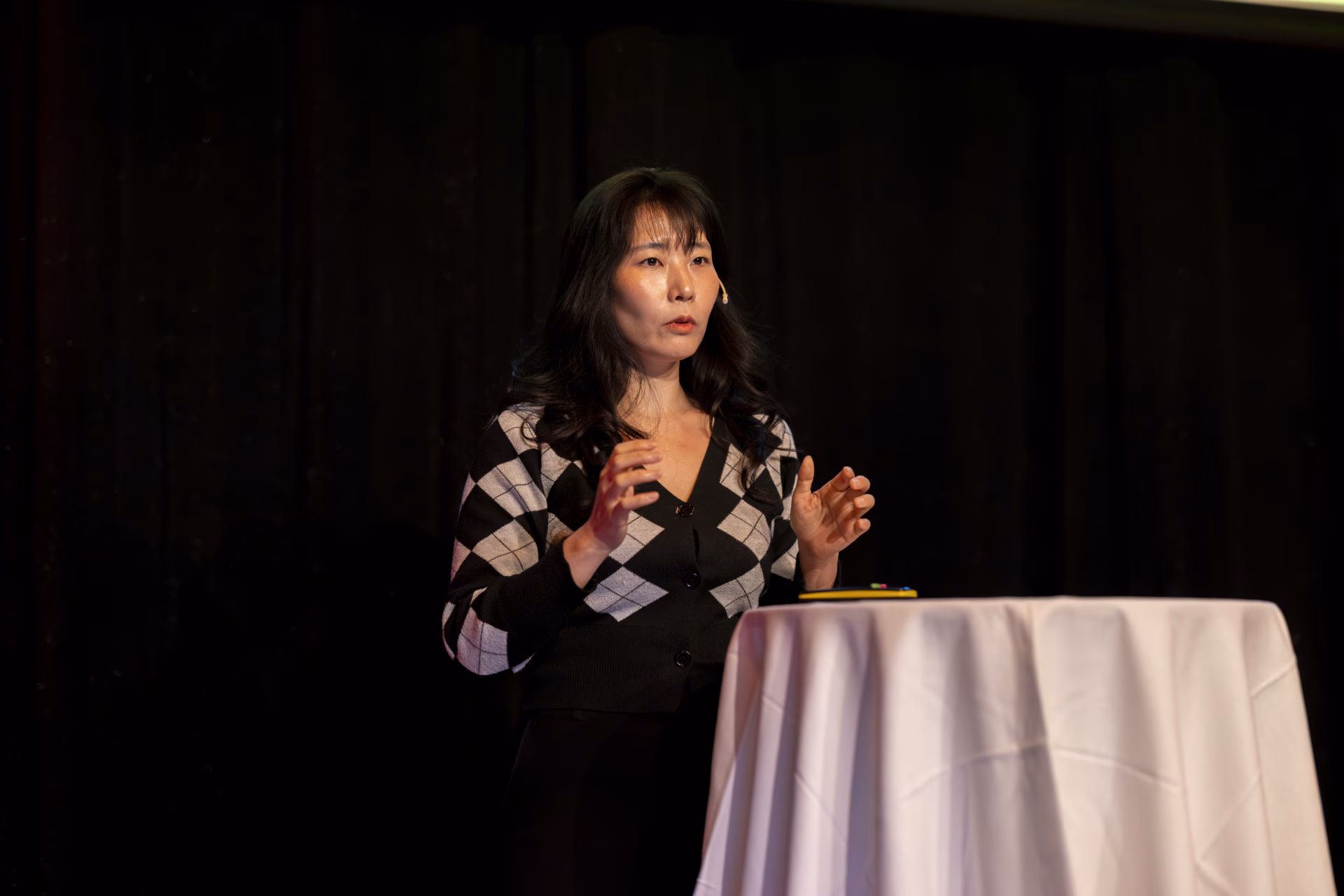 Solfure4V1A5117 Lana Xi som held ein pitch frå scena.